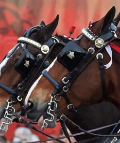 Close Up Budweiser Clydesdales Diamond Painting Art