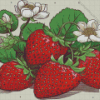 Strawberries And Flowers Diamond Painting Art