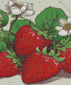 Strawberries And Flowers Diamond Painting Art