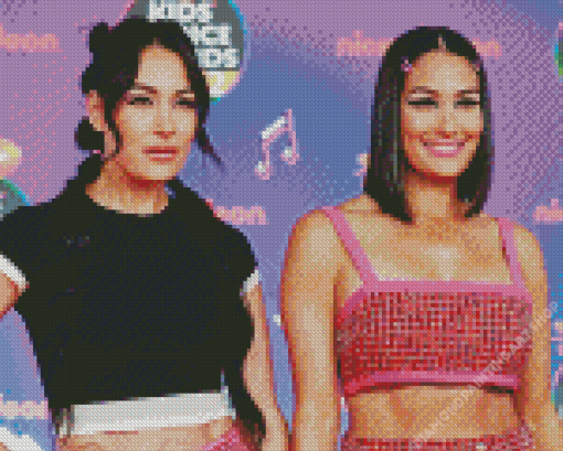 Stylish Bella Twins Diamond Painting Art