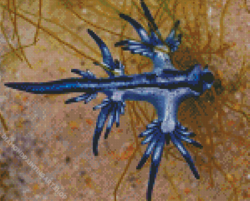 Blue Dragon Glaucus Diamond Painting Art