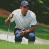 The Golfer Tiger Woods Diamond Painting Art