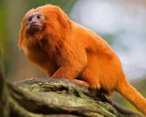 Wild Golden Lion Tamarin Diamond Painting Art