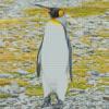 King Penguin Bird Diamond Painting Art