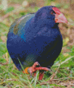 Takahe Flightless Bird Diamond Painting Art