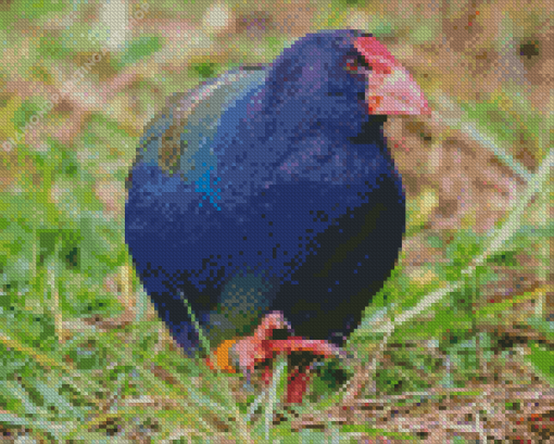 Takahe Flightless Bird Diamond Painting Art