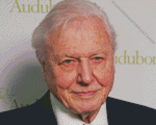 British David Attenborough Diamond Painting Art