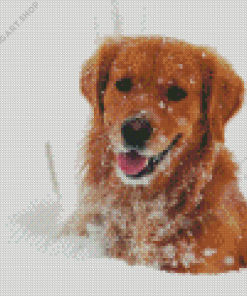 Golden Retriever Dog In Snow Diamond Painting Art