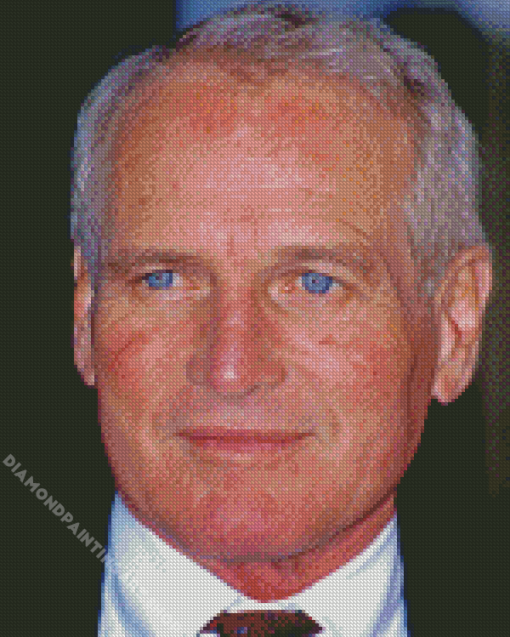 American Actor Paul Newman Diamond Painting Art