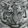 Baby Tigers With Blue Eyes Diamond Painting Art