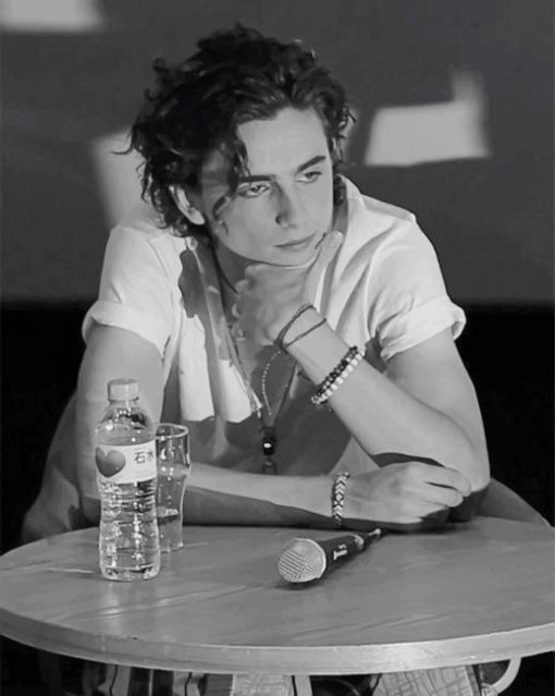 Monochrome Timothee Chalamet 5D Diamond Painting Art