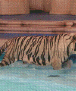White Tiger In Pool Diamond Painting Art