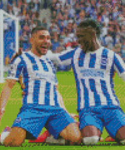 Brighton and Hove Albion FC Players Diamond Painting