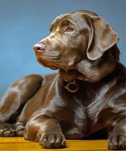 Brown Labrador Dog Diamond Painting