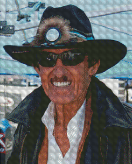 Richard Petty Race Car Driver Diamond Painting
