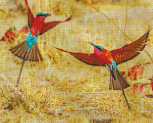 Southern Carmine Bee Eater Diamond Painting