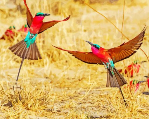 Southern Carmine Bee Eater Diamond Painting