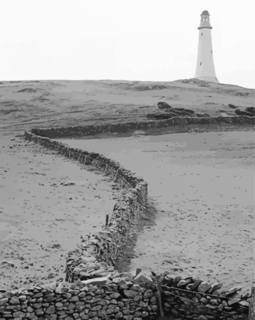 Black and White Hoad Monument Diamond Painting