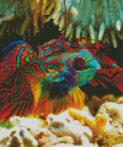 Colorful Mandarin Fish Diamond Painting
