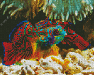 Colorful Mandarin Fish Diamond Painting