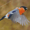 Flying Eurasian Bullfinch Bird Diamond Painting
