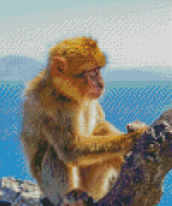 Gibralter Ape On Tree Diamond Painting