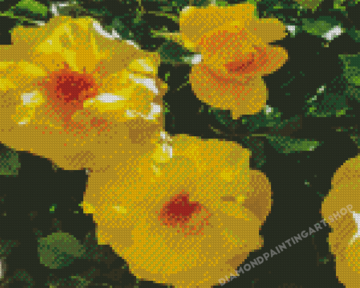 Yellow Austrian Briar Roses Diamond Painting