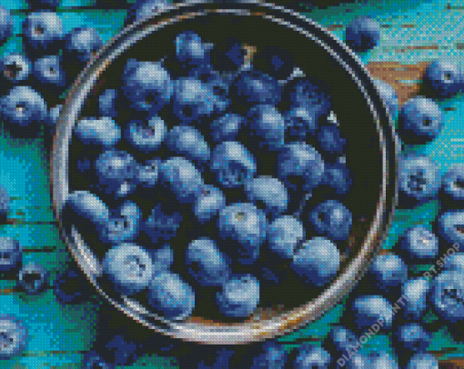 Blueberries Fruit Diamond Painting