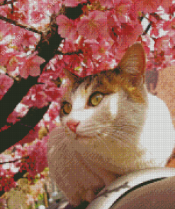 Cat and Cherry Blossoms Diamond Painting