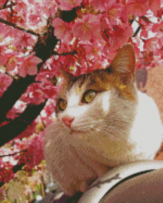Cat and Cherry Blossoms Diamond Painting