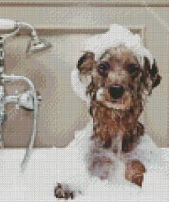 Dog In Bath Diamond Painting