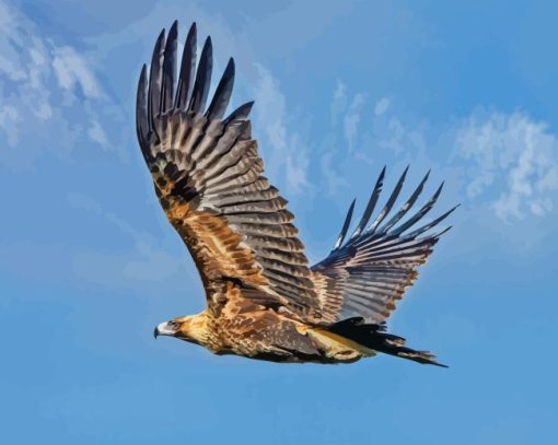 Flying Wedge Tailed Eagle Diamond Painting