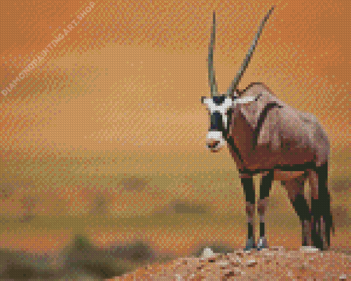 Gemsbok Diamond Painting