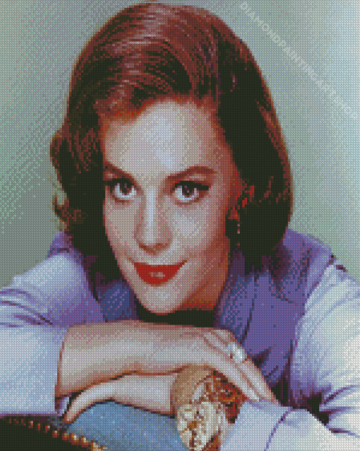 Natalie Wood Actress Diamond Painting