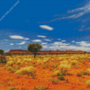 Pilbara Diamond Painting