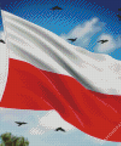 Polish Flag And Birds Diamond Painting