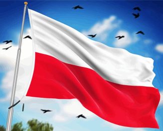 Polish Flag And Birds Diamond Painting