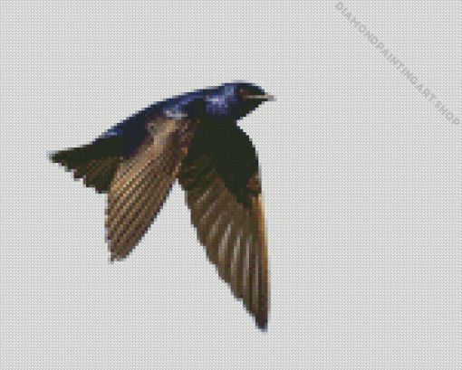 Purple Martin Diamond Painting