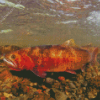 Spawning Cutthroat Trout Diamond Painting