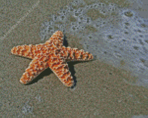 Starfish On The Beach Diamond Painting