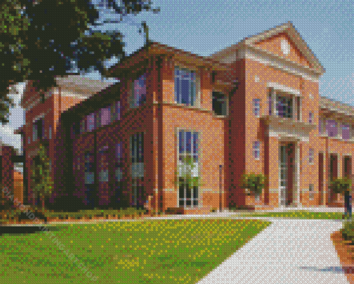 University of Georgia Diamond Painting