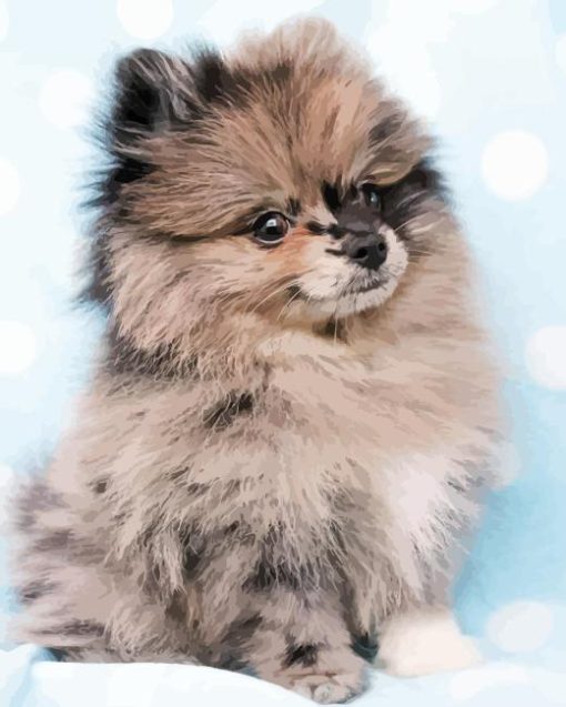 Grey Pomeranian Dog Diamond Painting