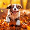 Happy Autumn Puppy Diamond Painting