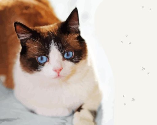 Snowshoe Cat Diamond Painting