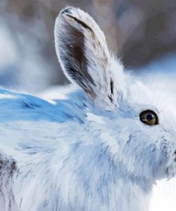 Snowshoe Hare Diamond Painting