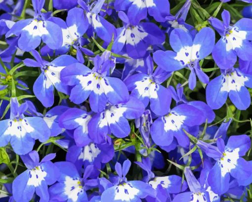 Lobelia Diamond Painting