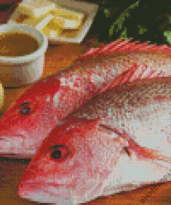 Northern Red Snapper Fish Diamond Painting