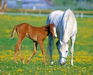 White Mare and Foal Diamond Painting