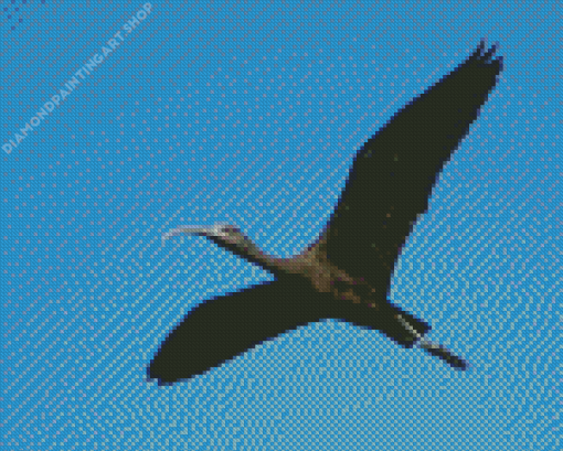 Flying Black Ibis Diamond Painting