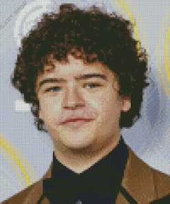 Gaten Matarazzo Diamond Painting